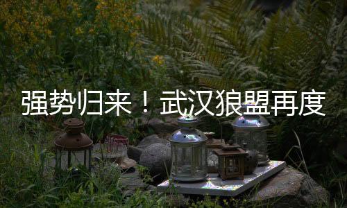 武汉品茶网：带你穿越茶叶的时光长河